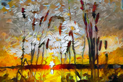 Sunny Field