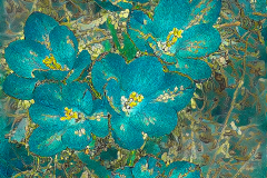 Turquoise