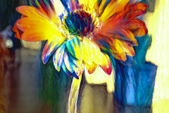 bd32d2149c08f172f0a4a000abb3adfbc31b4f5e-W